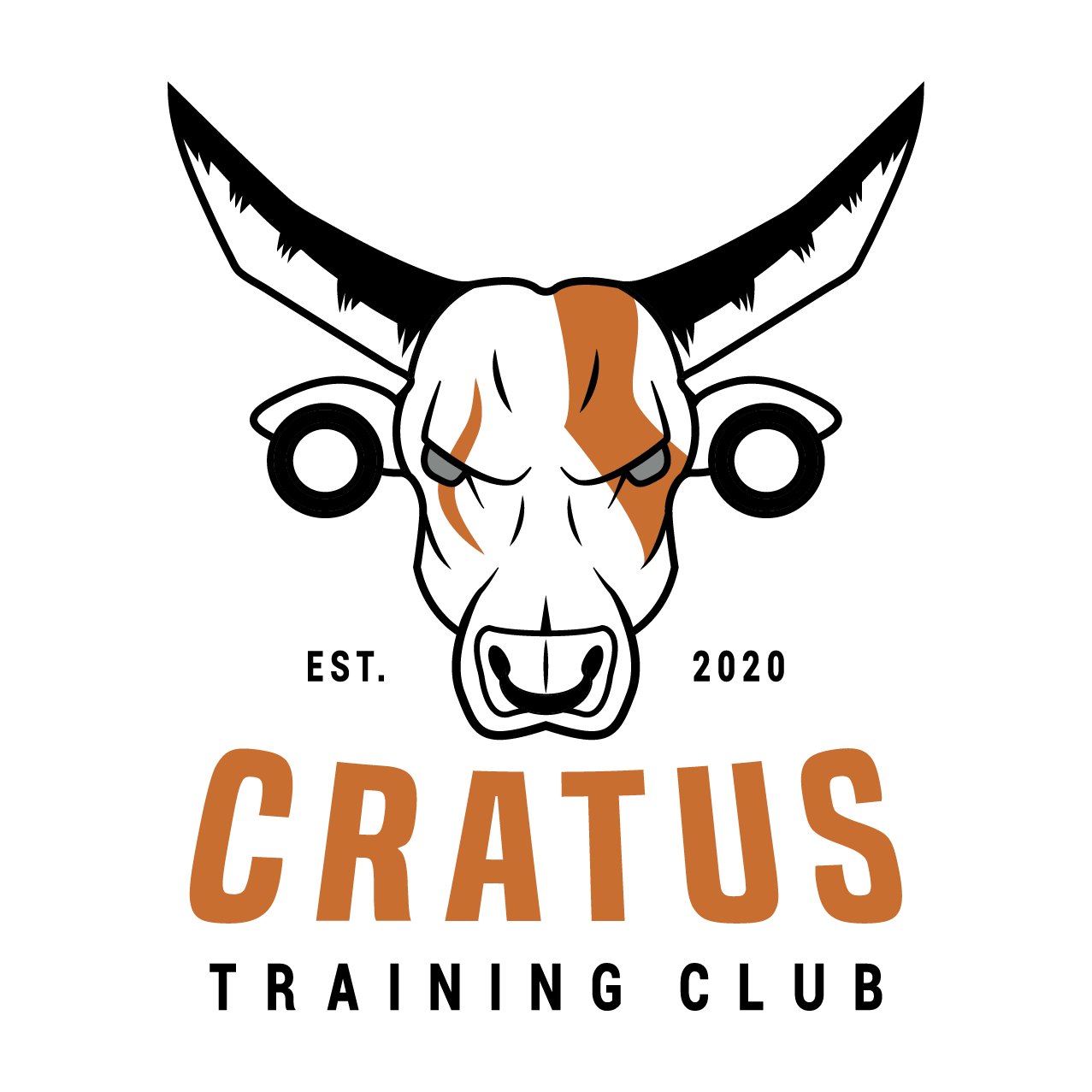 2Mesa-de-trabajo-29-copia-2@3x